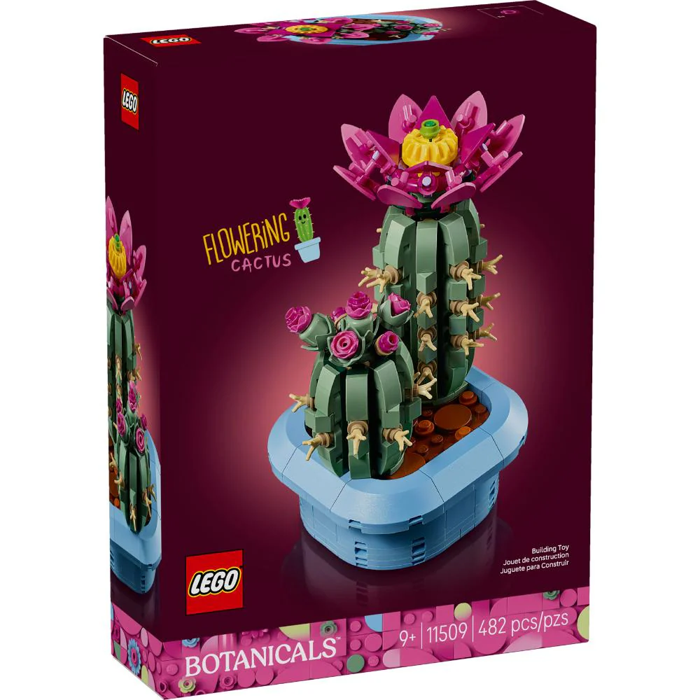 Miniatura 1